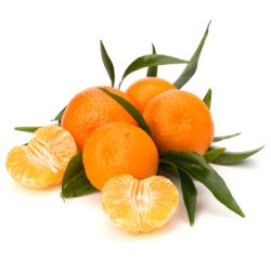 Tangerines isolated on white background